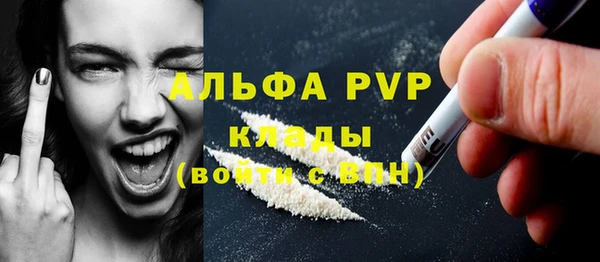 таблы Бородино