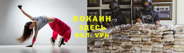 стаф Богородицк