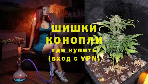 таблы Бородино